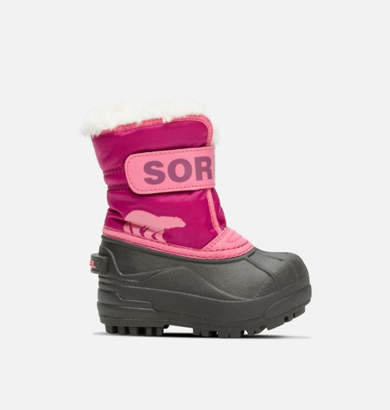 Botas Nieve Sorel Niños - Toddler Commander™ Rosas/Negras - 49370-VWFO